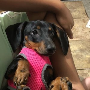 Meet your Posher, Joanna